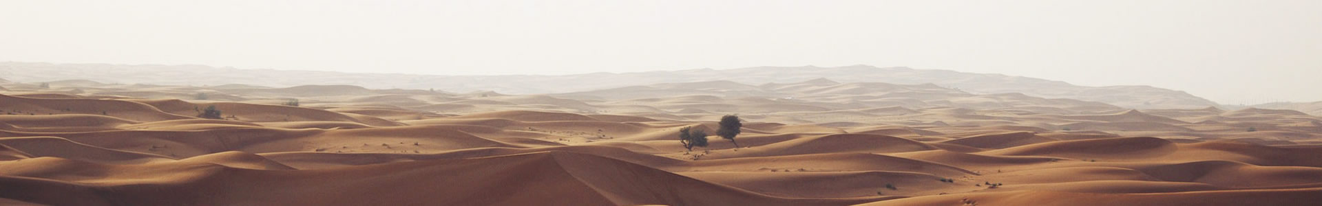 ܻƼ޹˾